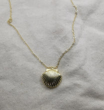 Charger l'image dans la galerie, Colliers Venus Coquillage doré. Médaillon porte Photo